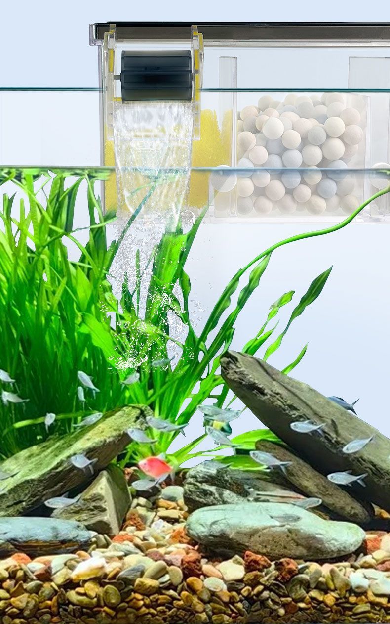 8acb9b74-06f8-4581-87b8-745b38c09187.jpe