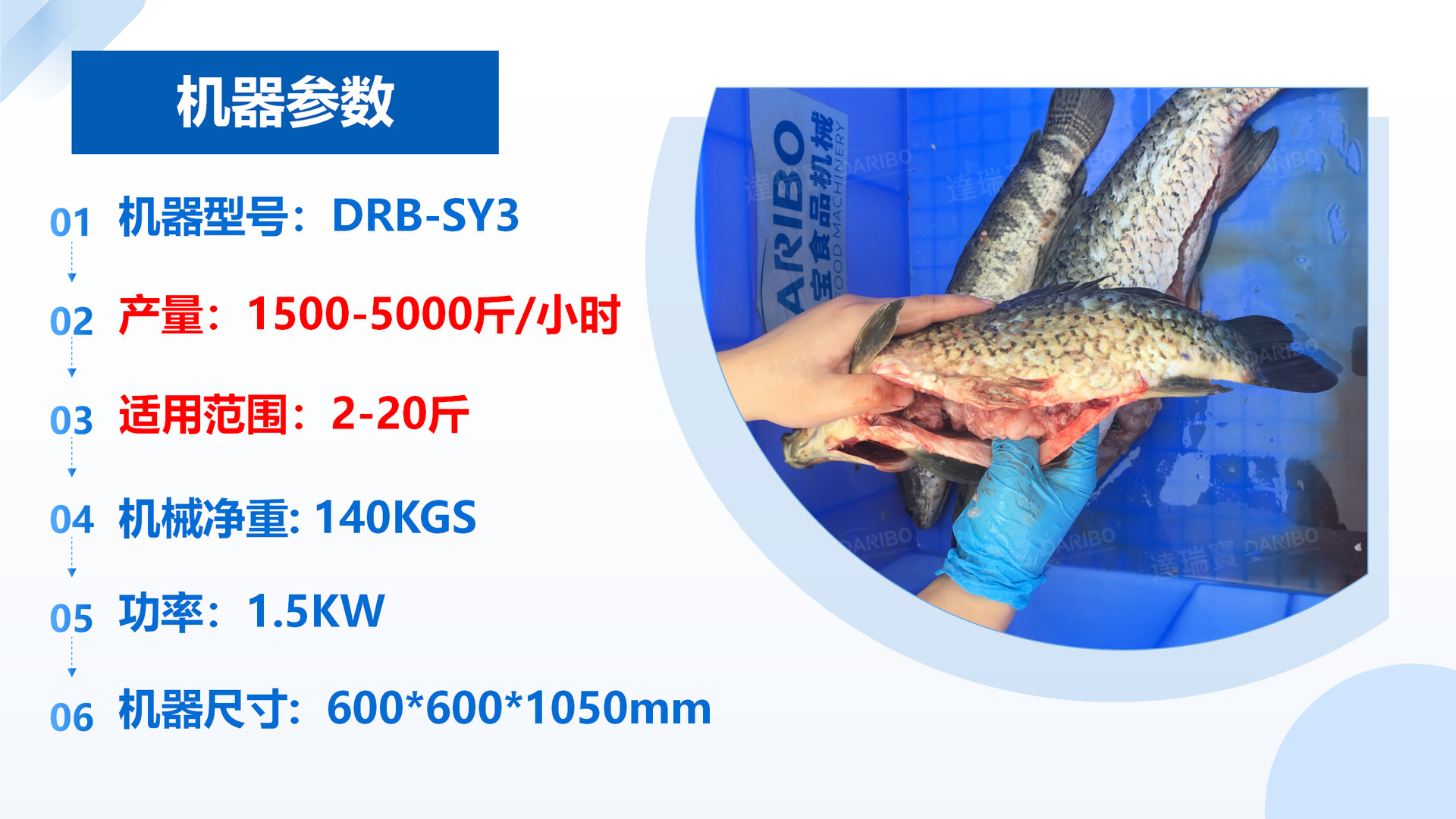 杀鱼机 1688用_02