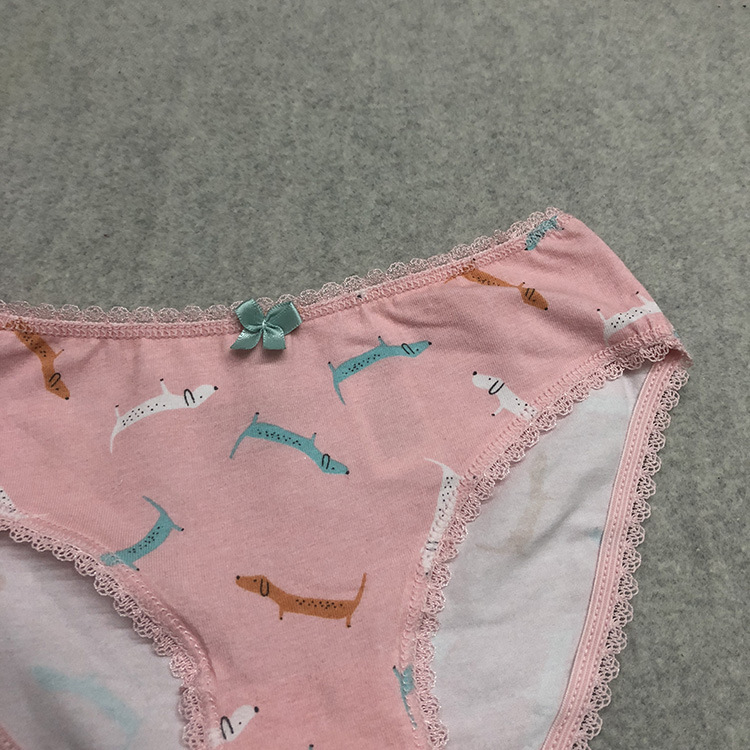 粉色腊肠犬 (1).jpg