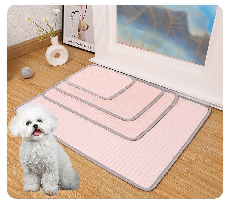 02b557ee-b9a2-4e8a-a15c-d6c396156e19.jpe