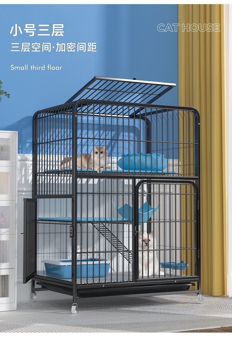 25d254a9-de3f-4a88-b3ab-8bd75670a633.jpe