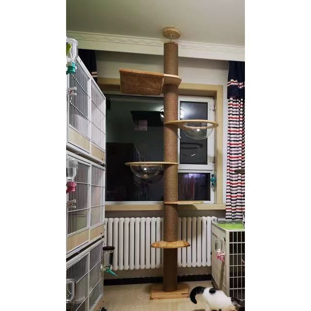 2bae38e1-9d53-48b4-bb56-d6bf995c5a39.jpe