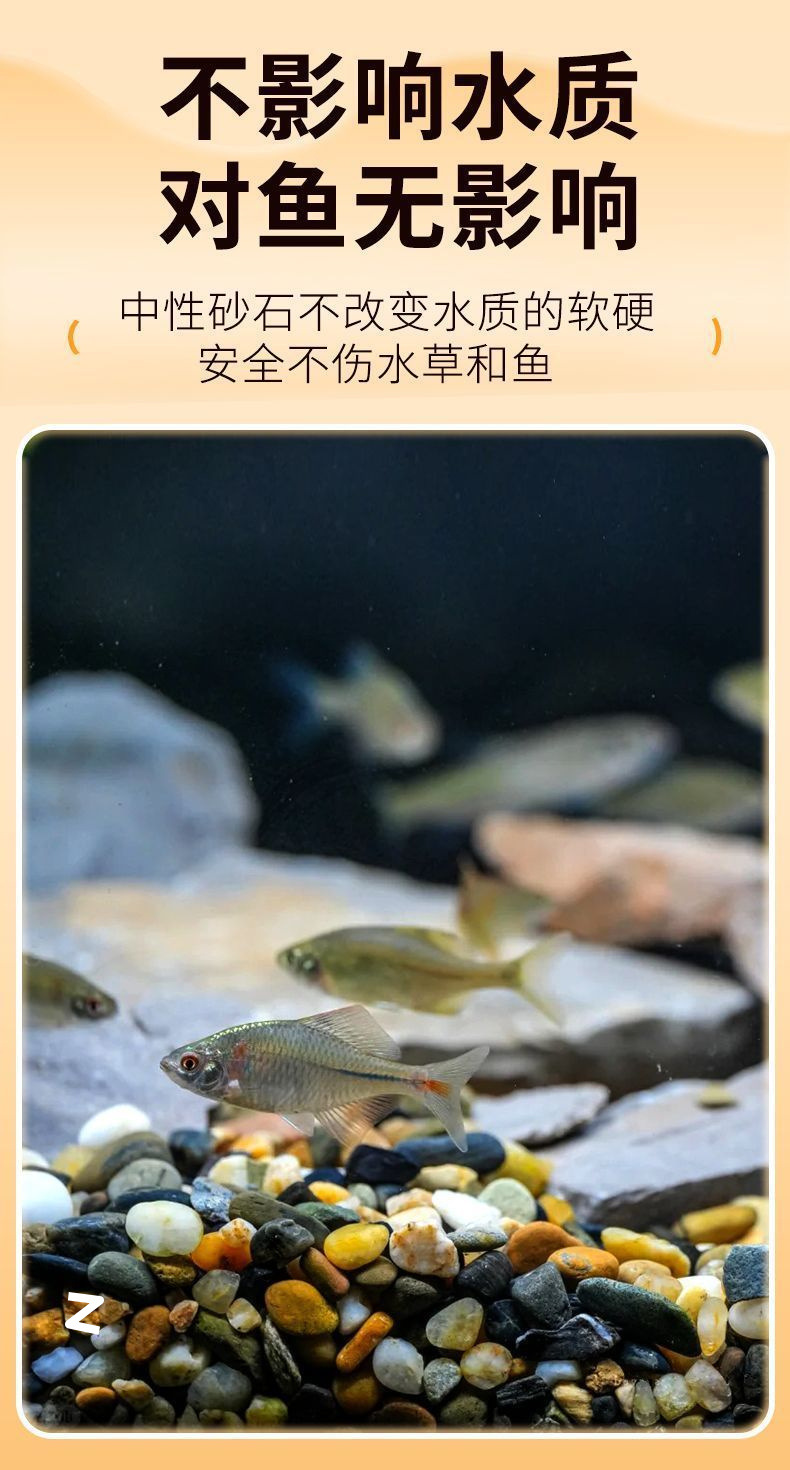 ec4c2638-7a54-49b7-afd2-4b591c8d9971.jpe