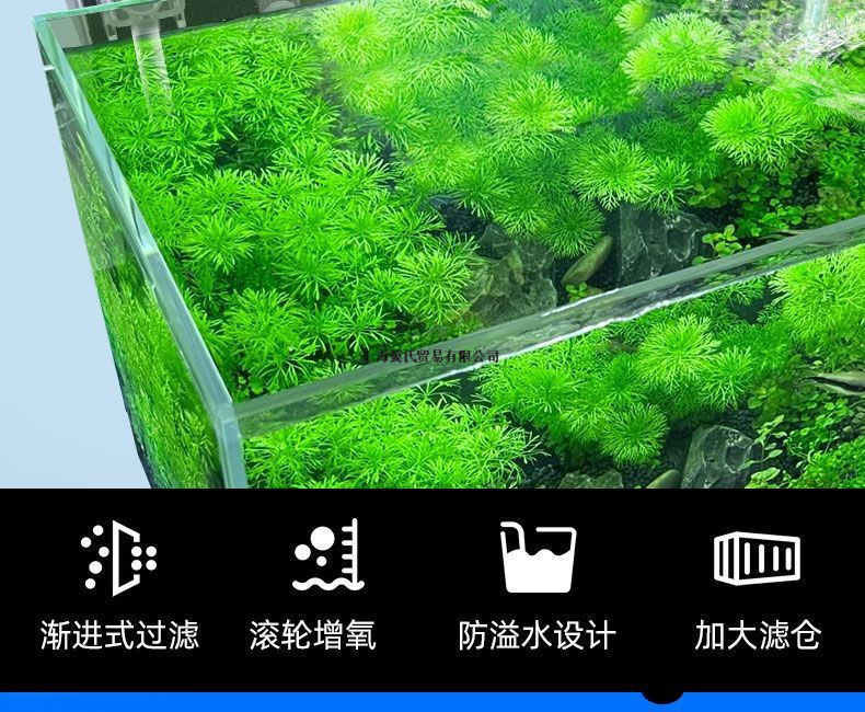 a428fd69-54b7-4776-8917-1f6dab661dd8.jpe