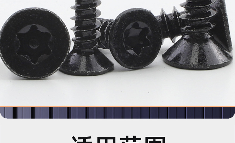 304不锈钢镀黑锌沉头防盗梅花自攻螺丝_03_20.jpg