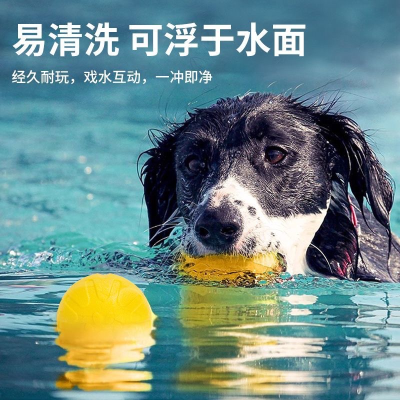 微信图片_20250402182200