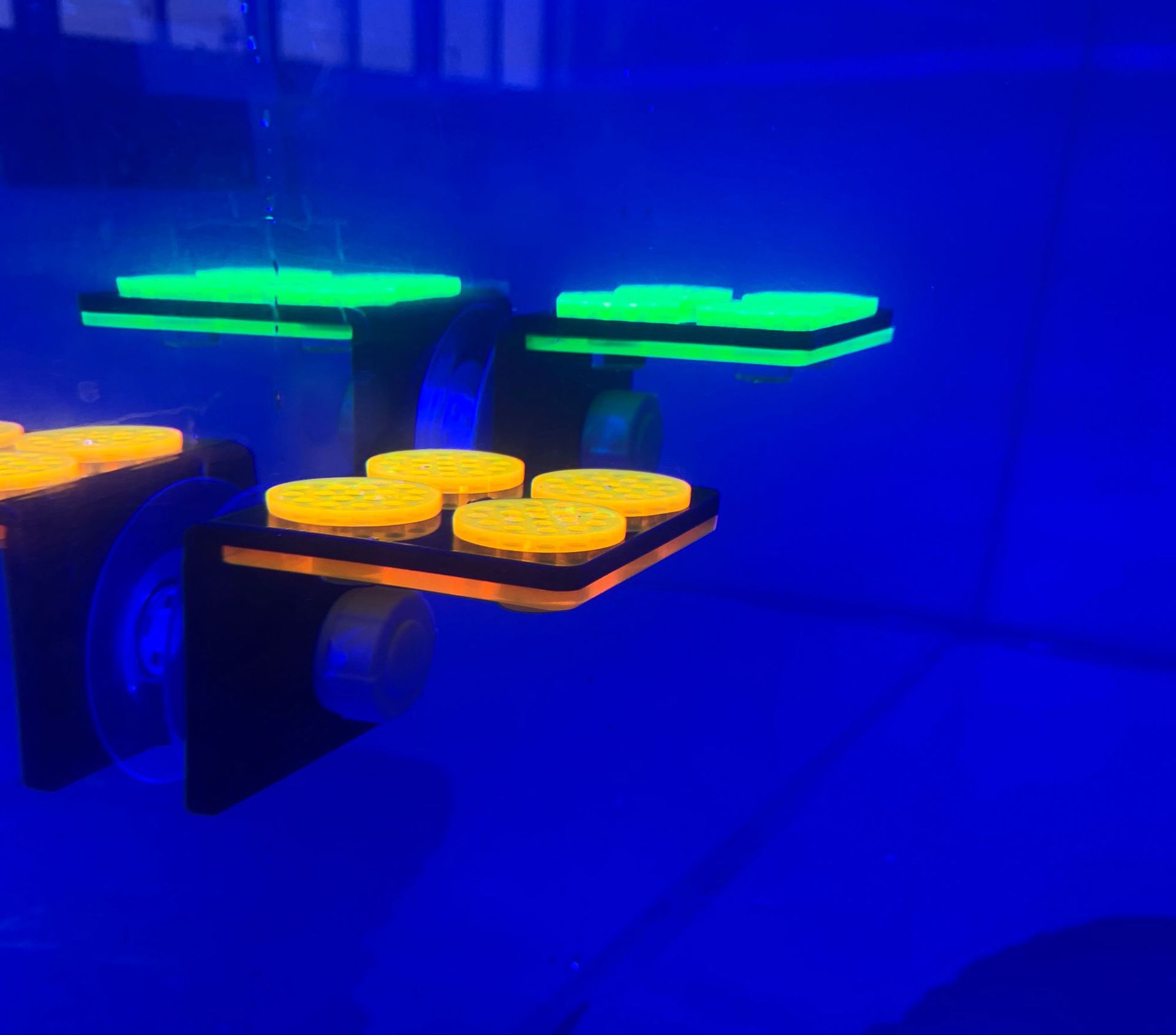 微信图片_20230714224101