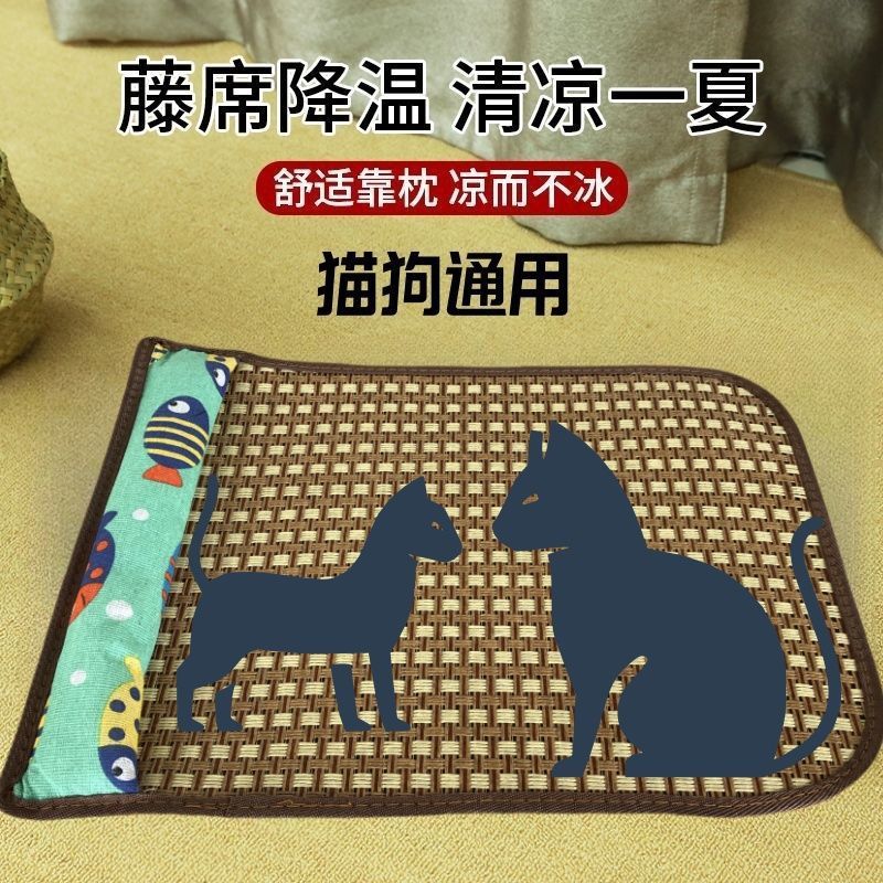 846e3e21-5fd4-45f7-87c1-a7e9f3d1a42e.jpe