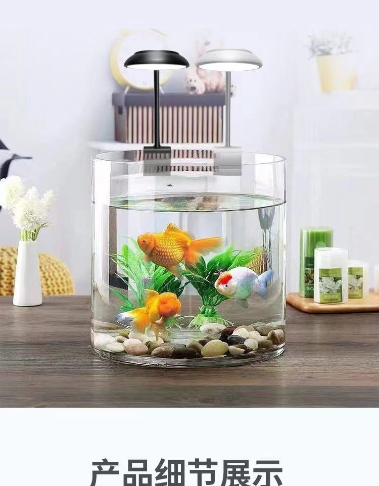 1183c718-9c85-42e3-9ec8-e6633eda0cbf.jpe