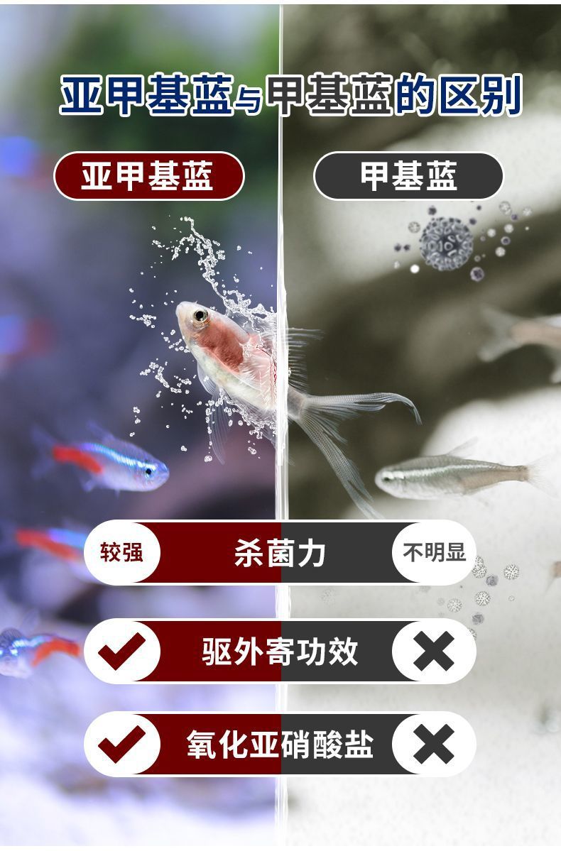 49ba06f4-a502-4801-b8cf-ad32d55a00a9.jpe