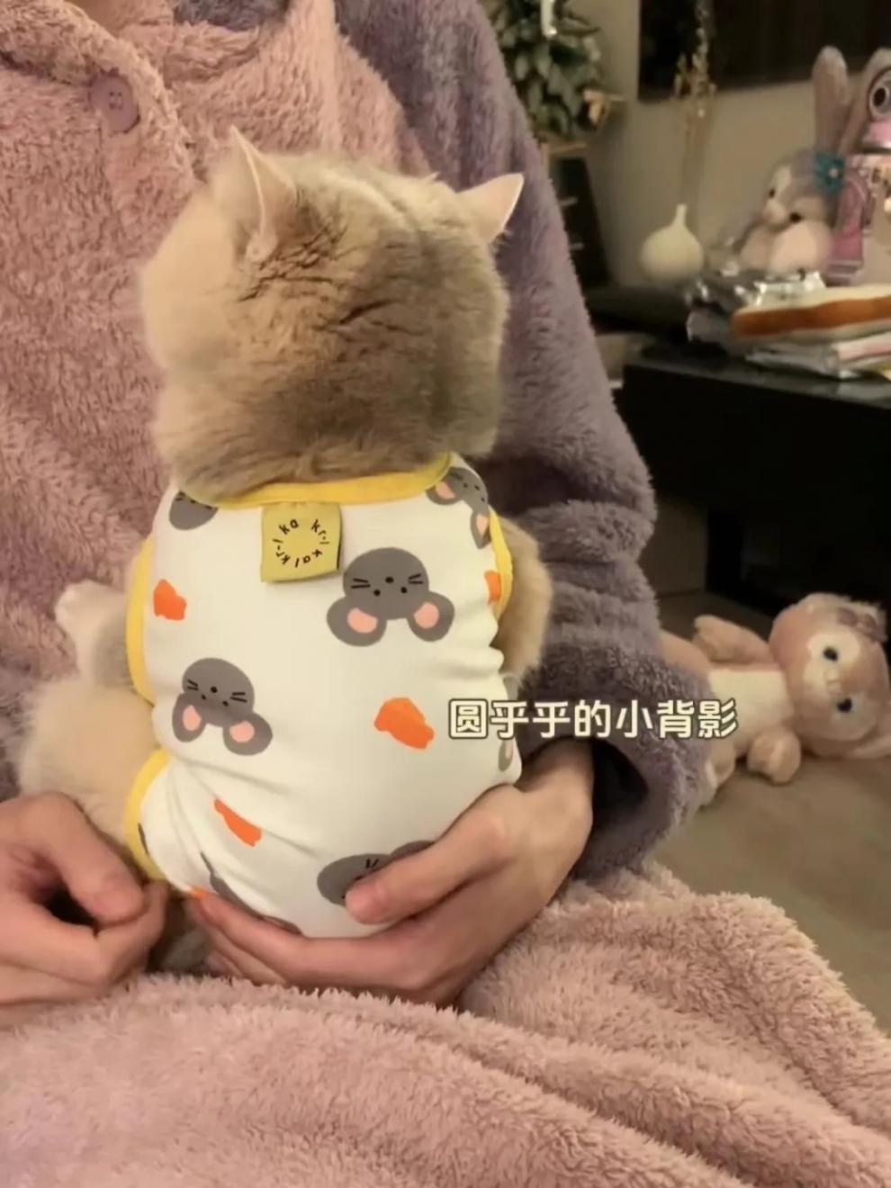 9c699812-b3cd-446d-a756-65ff03241a0d.jpe