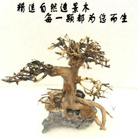 88117639-a279-4945-85bc-2ab82fcd3a2b.jpe