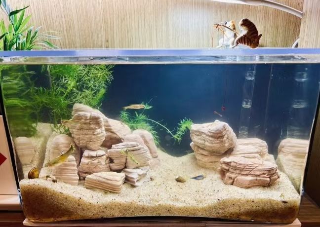 b3fc5420-ba3a-4cbc-9af8-aeaad04407a3.jpe