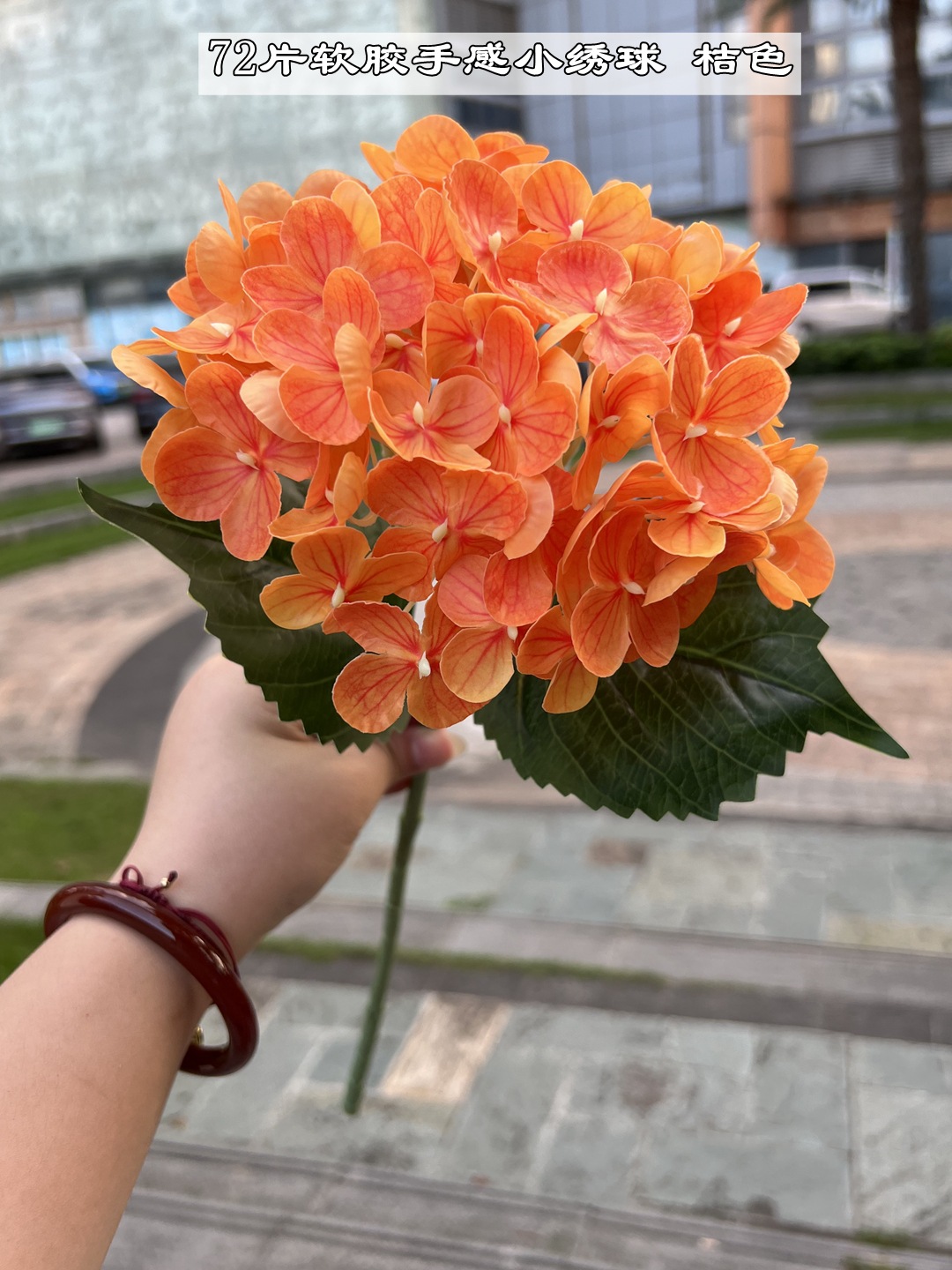 微信图片_20220727125727_副本