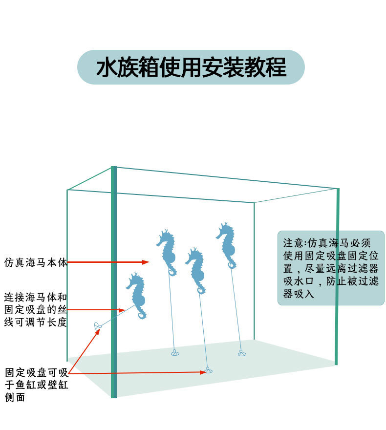海马详情_06.jpg
