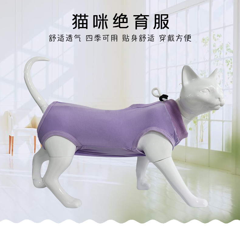 详情_01.jpg
