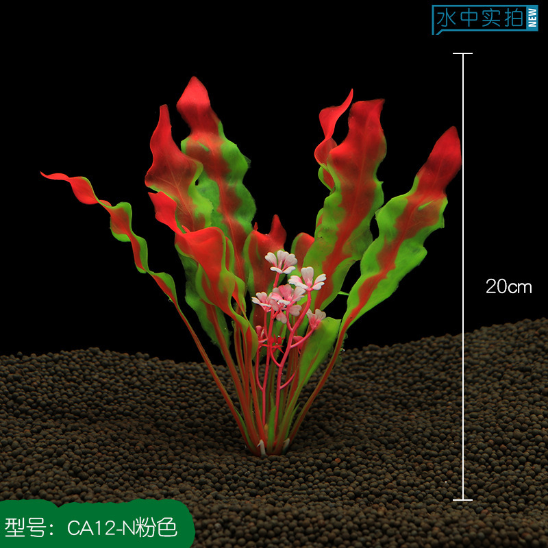 CA12-N粉色的