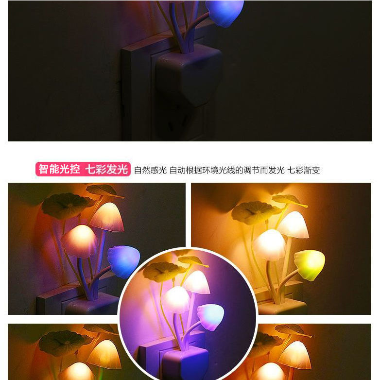 e44805de-5671-42c7-9a12-ffce72bc39b9.jpe