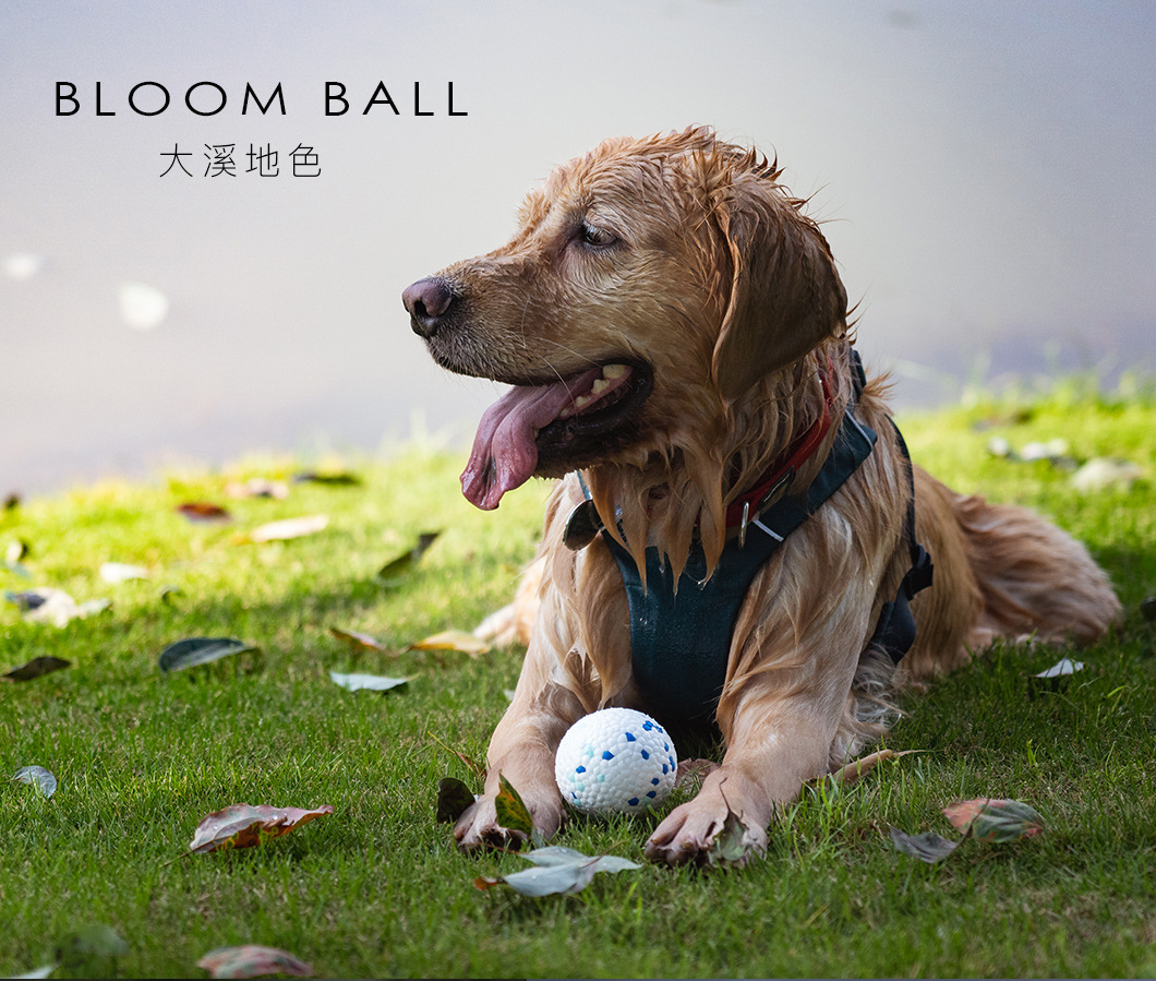 BLOOM-BALL_07