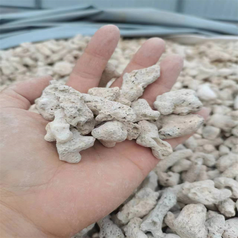 ed46776b133cf6ade8b811935f81c5