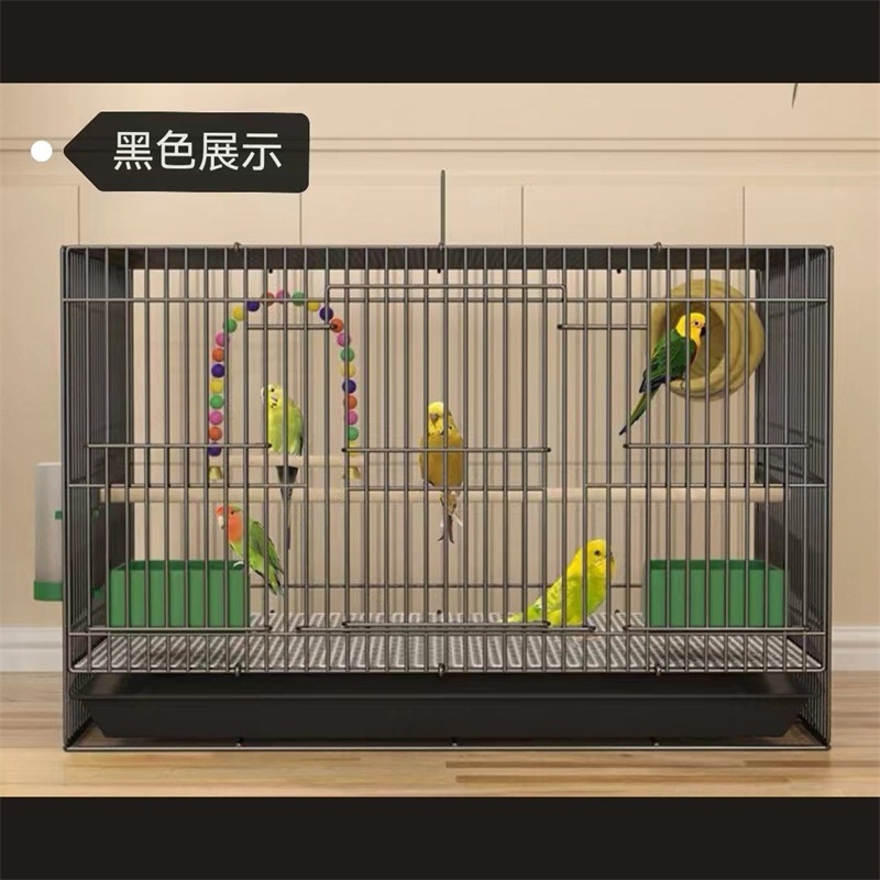 ec7f621c-4754-450f-afaf-192ab3defcc9.jpe
