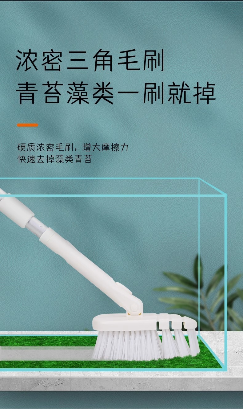 595a2669-e385-4959-b2bc-3ab1a27cd533.jpe