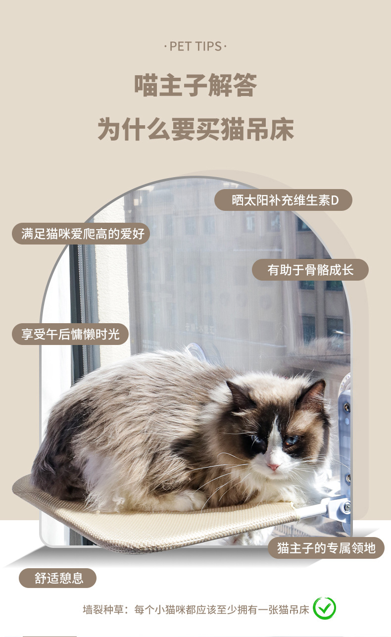 猫吊床_02.jpg