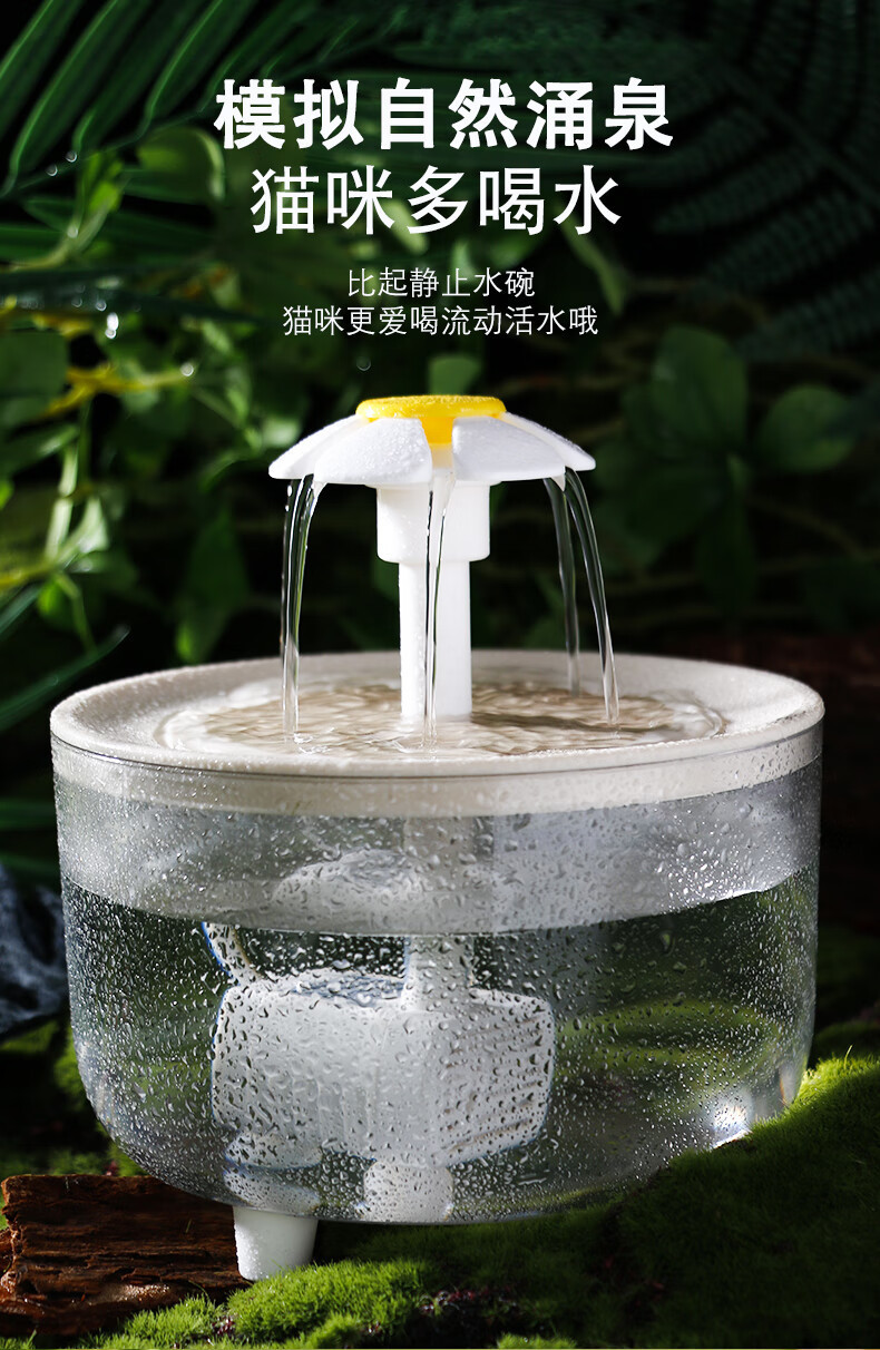 c7e17fb5-f7a2-45be-bb90-b9f542f647eb.jpe