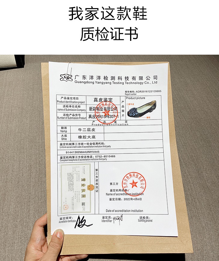 检测报告