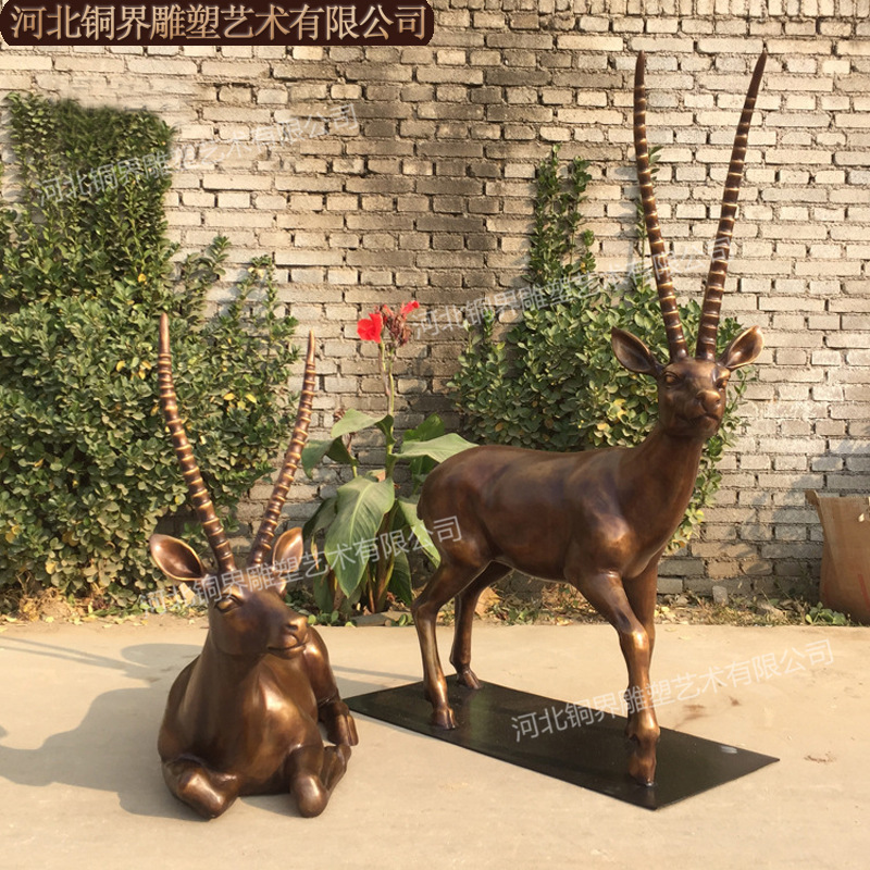 跳羚 (2).jpg
