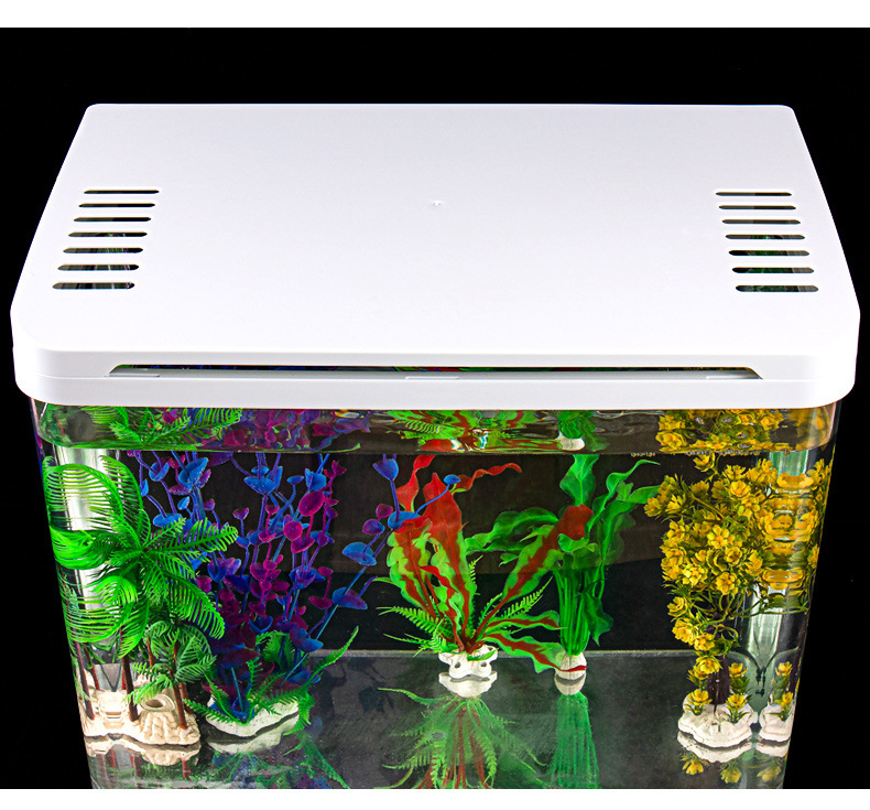 86b430a1-d57d-46f1-a0b7-04c80a5acc16.jpe