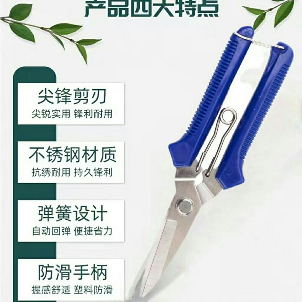 微信图片_20240521202847