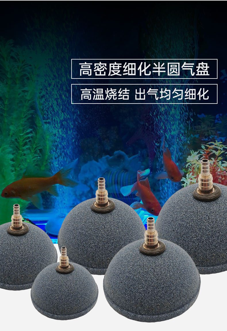 半圆_02.jpg