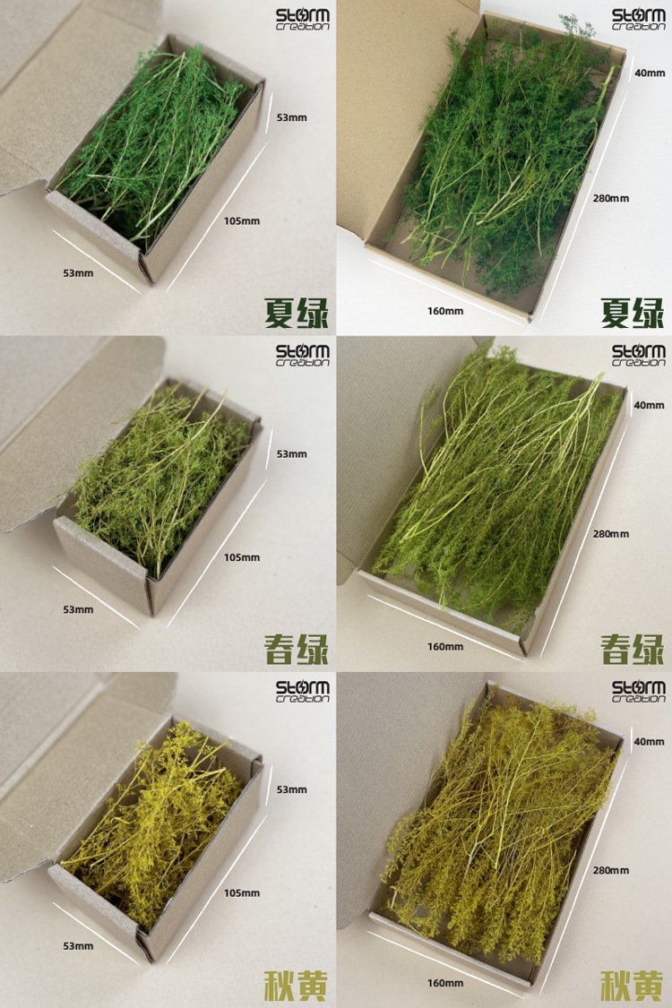 118 著色1 750x1125 .jpg