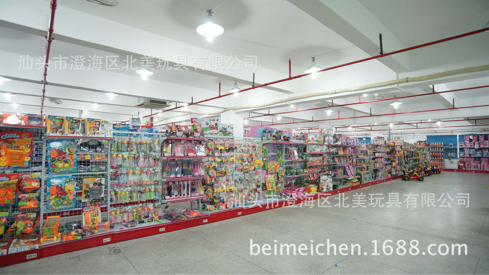 公司-