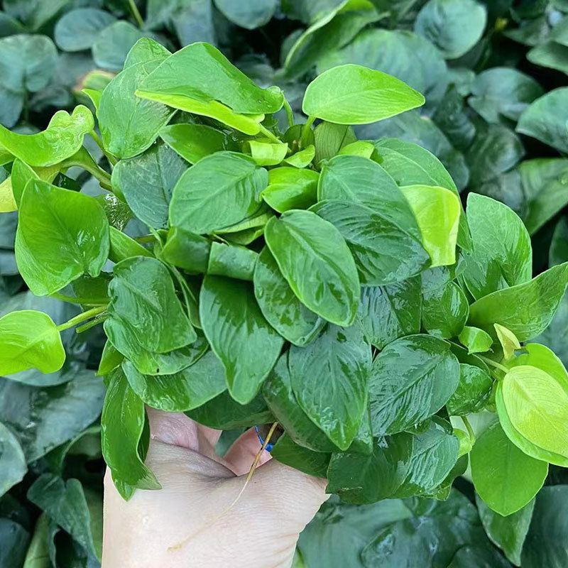 6b3d889f5185fe6e8ab9e93d8dfcb3