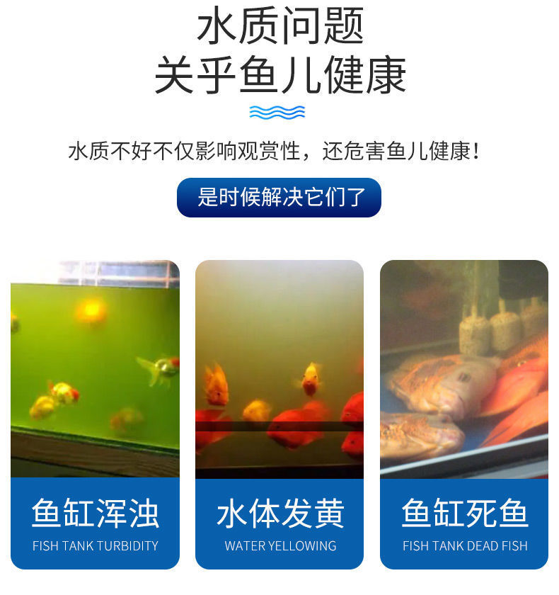 8d358af9-52ad-41f2-9caf-6241f7b11fe5.jpe