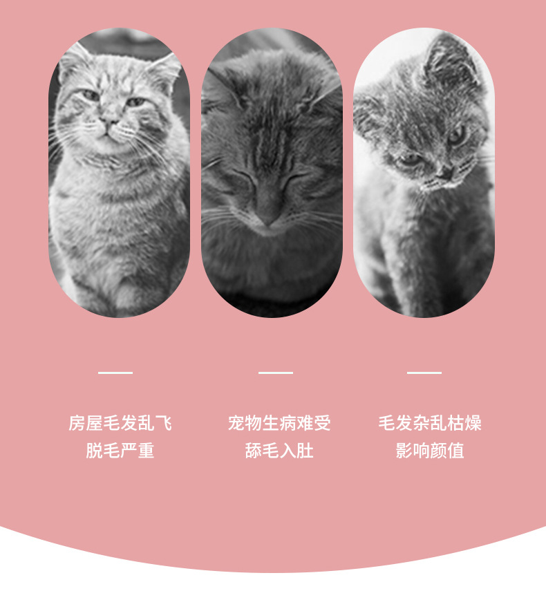 e7f2b99f915047c1fd73cf3e44b799