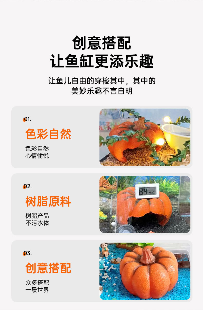 南瓜详情_02.jpg