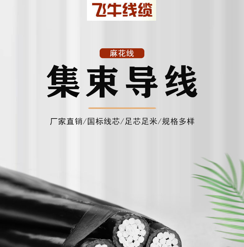 集束导线-详情_01.jpg