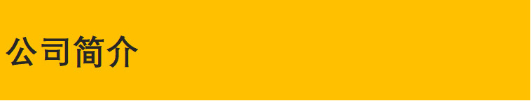 公司简介