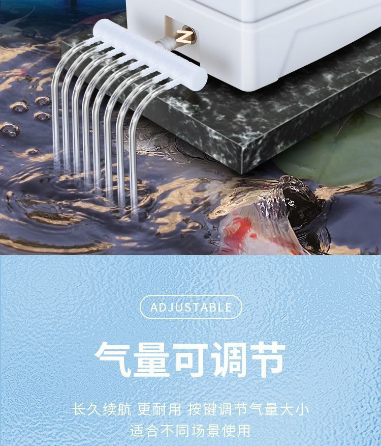 f6c8489f-b5d4-4bf2-9ac9-76fef558d4c7.jpe