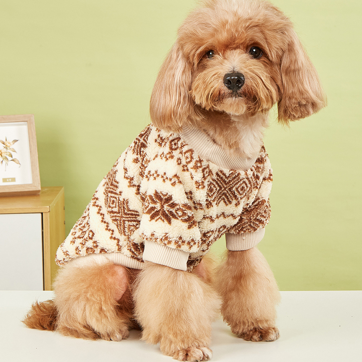 图腾元素宠物衣服 猫衣服 狗衣服 欧康宠物用品