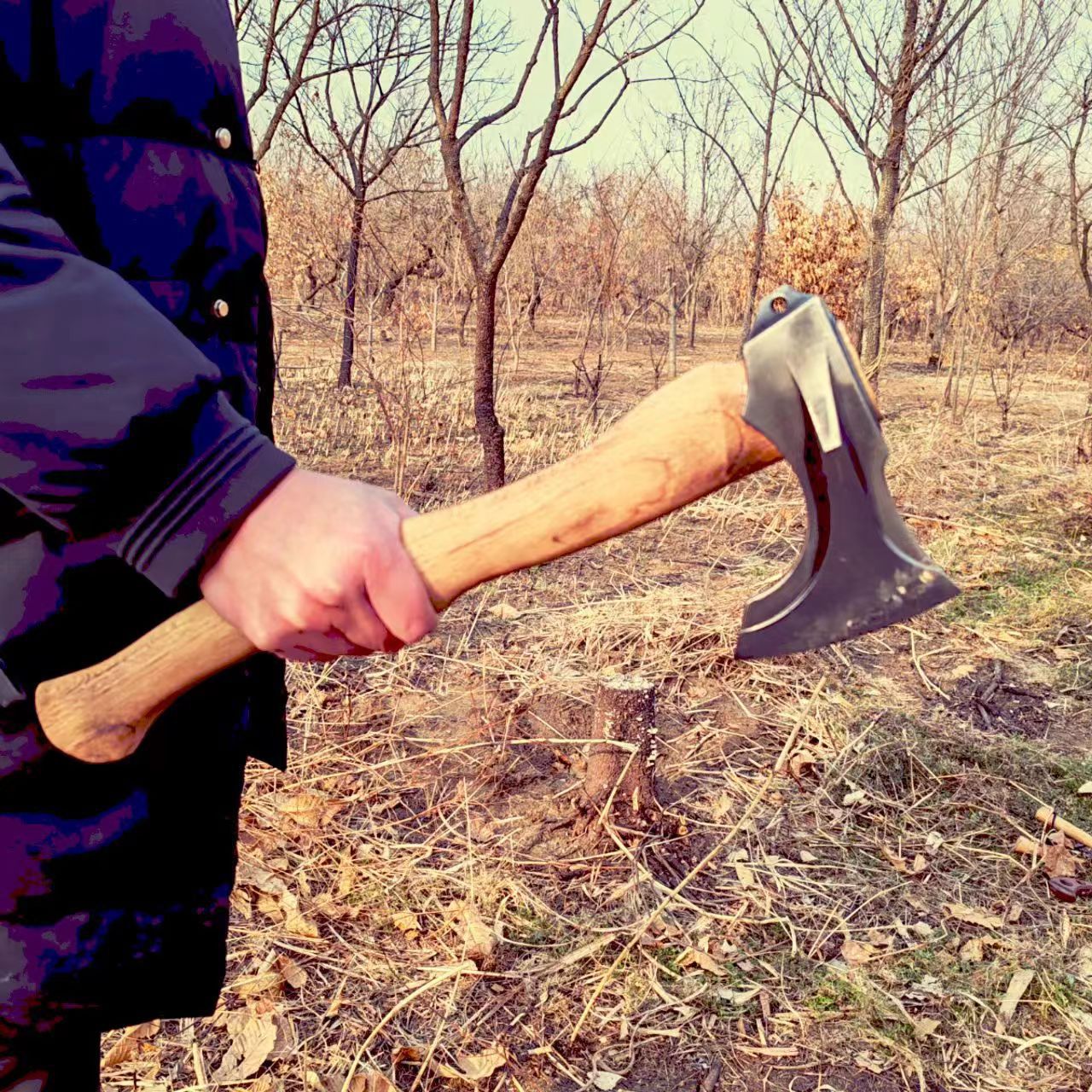 微信图片_20240305160040