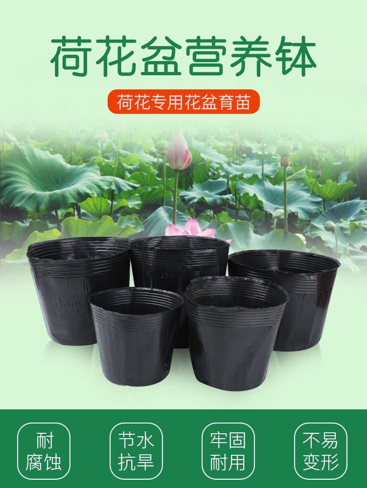 微信图片_20221008153712.jpg