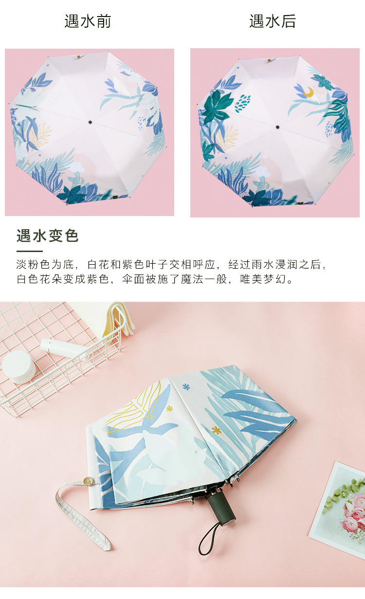 礼品伞