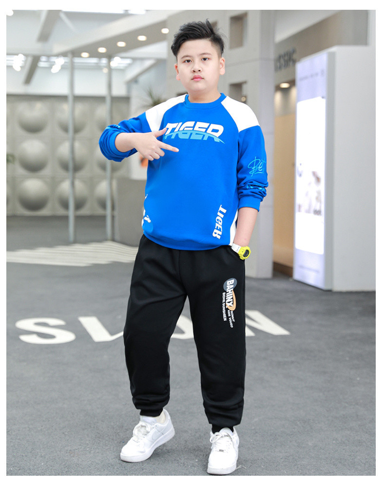 6de5862b-7faa-43c5-8b0f-7781e8113bc5.jpe