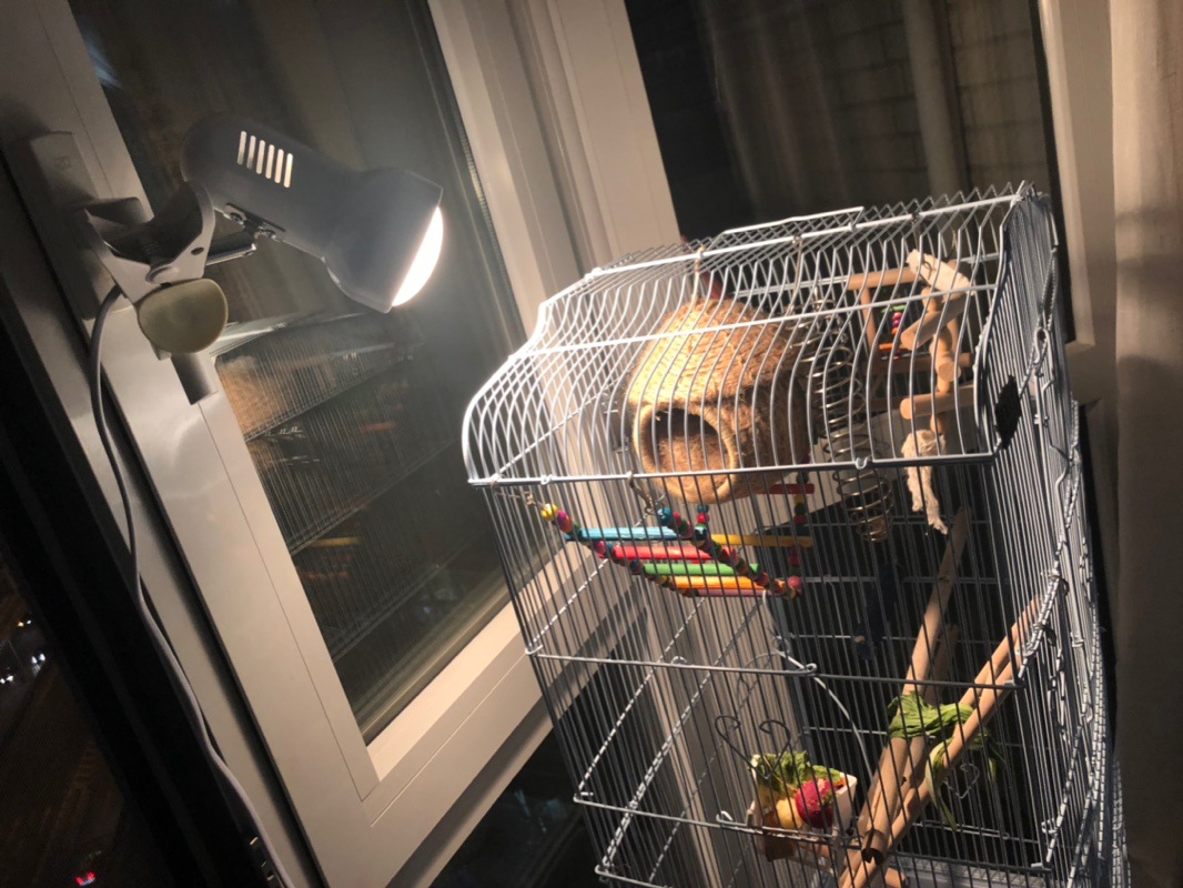 O1CN011ks31viTIKQCzJy_!!0-rate