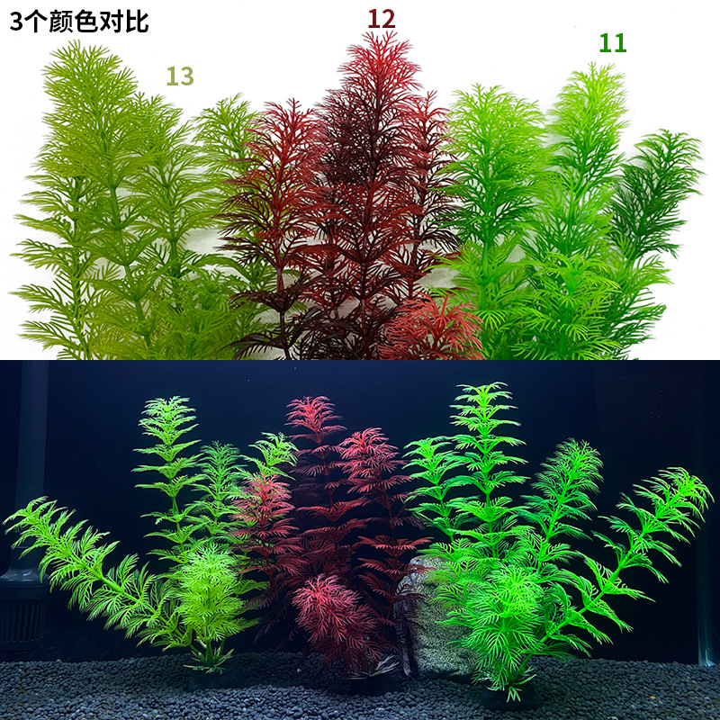 颜色对比.jpg