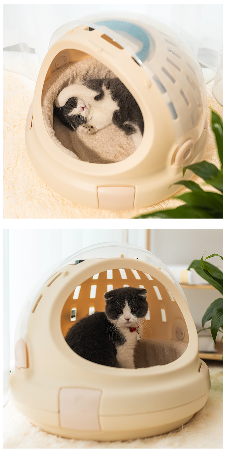 猫笼  (10).jpg